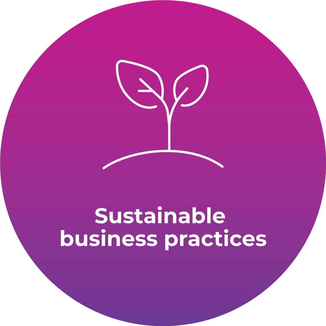 Priorities Sustainable Business Practice Icon